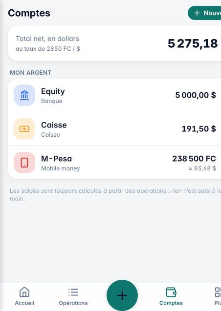 Liste des comptes avec leurs soldes en dollars et en francs